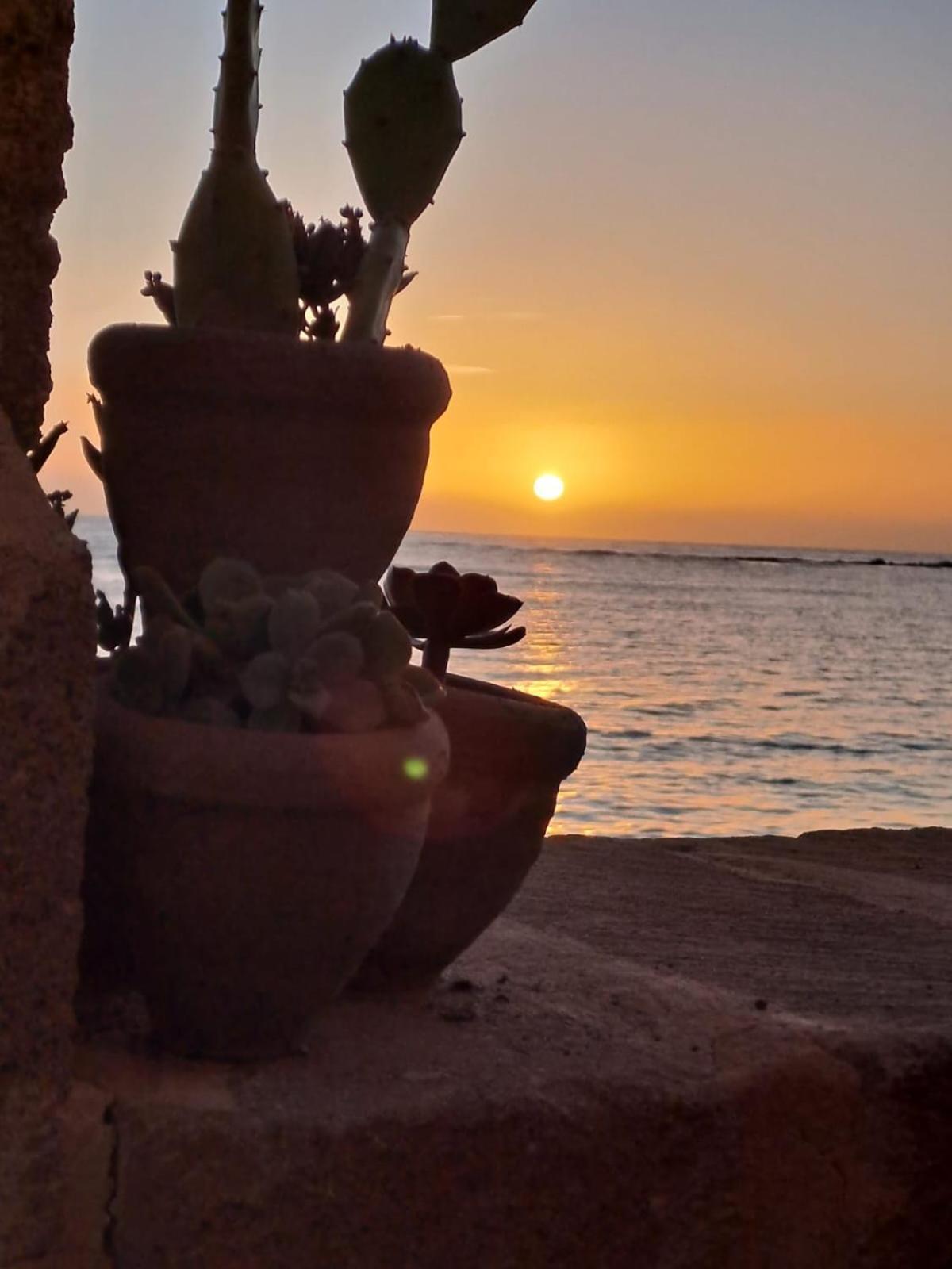 La Casa Sulla Spiaggia มาร์ซาเมมี ภายนอก รูปภาพ